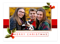 Holiday Card Options 2020 - Flippen